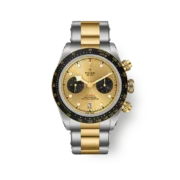 Gold Racing Style
